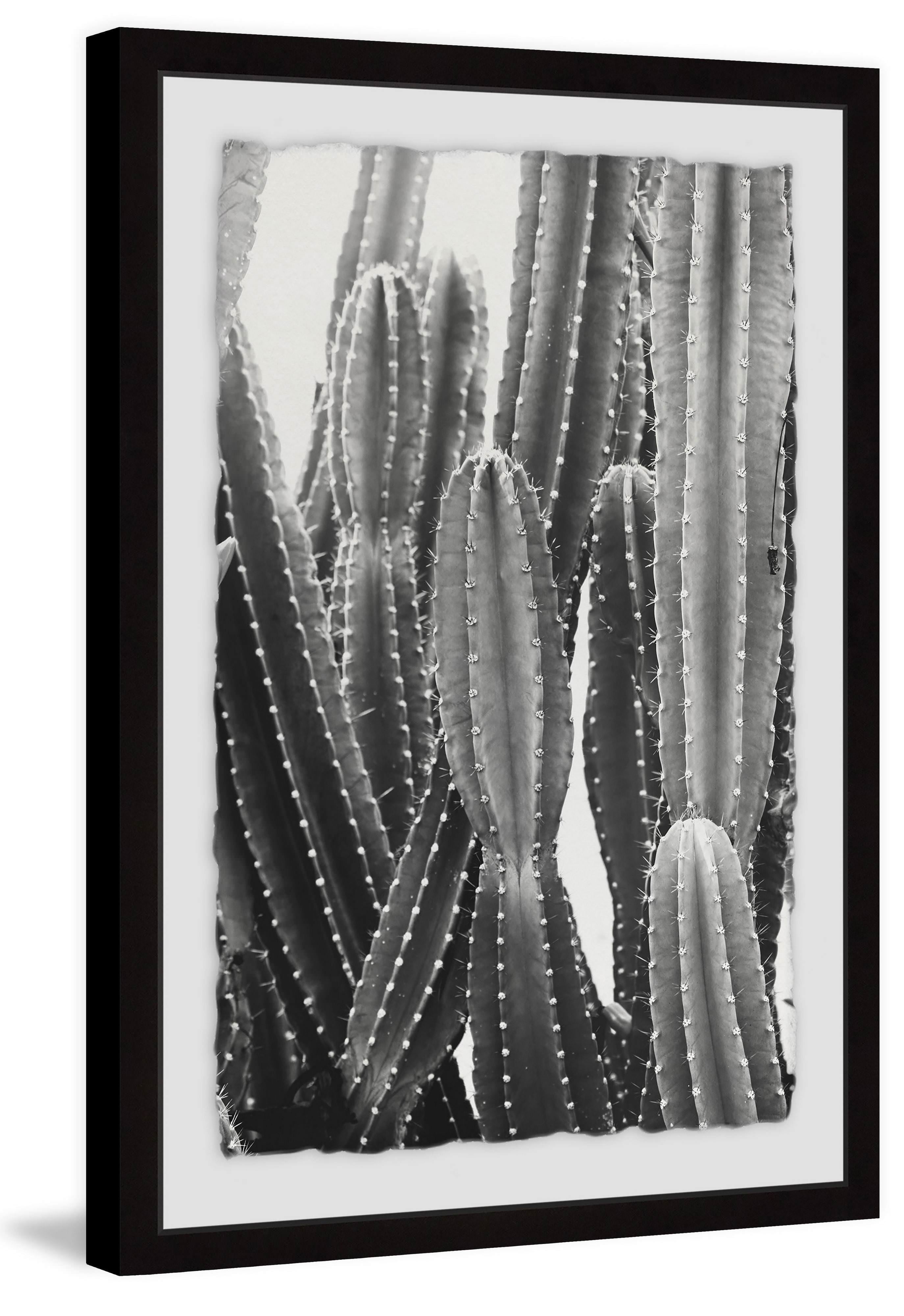 Vintage Black and White Cactus Framed Canvas Print