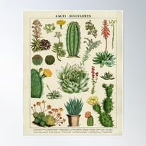 Vintage Cactus Poster Poster Wall Art, Modern Wall Decor For Living Room Bedroom, 16x24 UNFRAMED