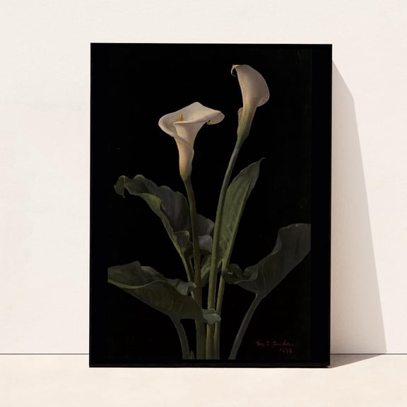 Vintage Calla Lily Botanical Print, Dark Moody Floral Wall Art, Unframed Paper Poster 8x10in