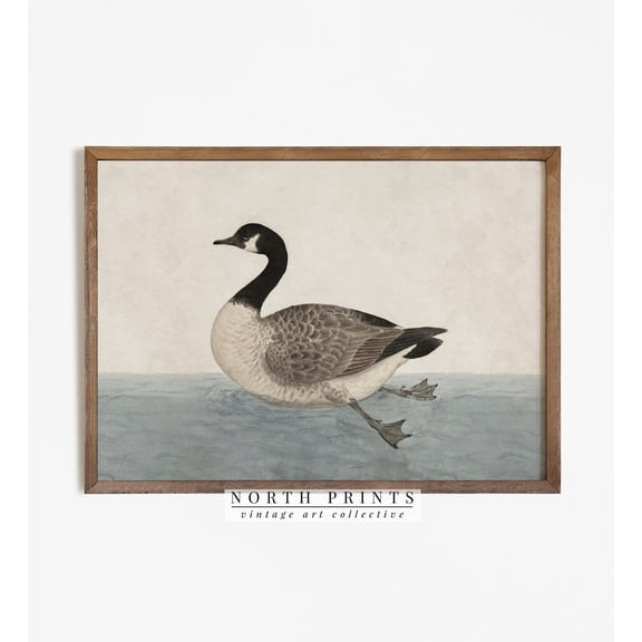 Vintage Canada Goose Painting Rustic Home Decor Lake House Art 1042