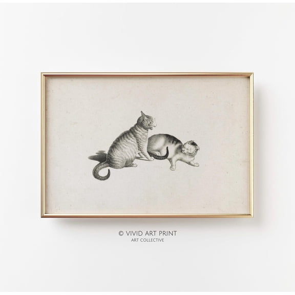 Vintage Cats Etching Wall Art, Classic Feline Home Decor, Vivid Art Print Ur-253 Wall Art, Modern Wall Decor, 8x12 UNFRAMED