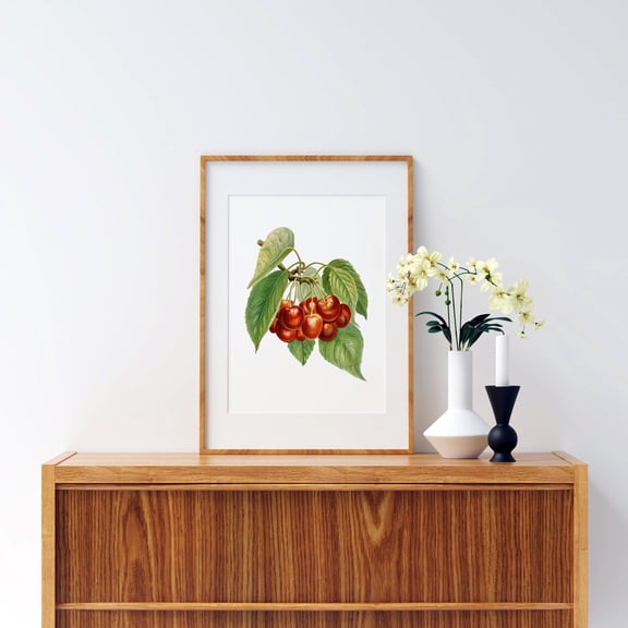 Vintage Cherry Fruit, Printable Wall Art, Fruit Printable, Digital Print, Flower Poster, Plant Print Antique,Interior wall decoration, living room, bedroom, kitchen, frameless 12X16 inches