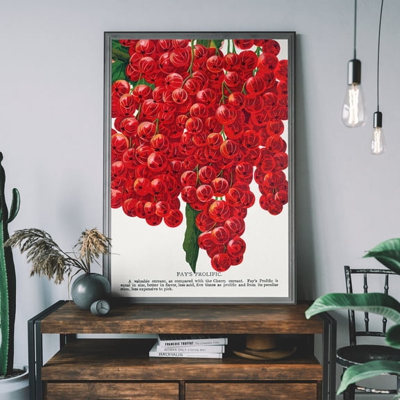 Vintage Cherry Poster, Lithograph Print, Antique Botanical Art Print, Fruit Diagram, Rustic Wall Decor, Restaurant Wall Art Wall Art, Modern Wall Decor, 16x24 UNFRAMED