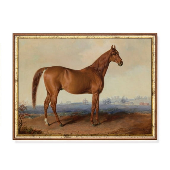 Vintage Chestnut Horse Portrait Rustic Farmhouse Equestrian Art Home Decor, 12x18 UNFRAMED