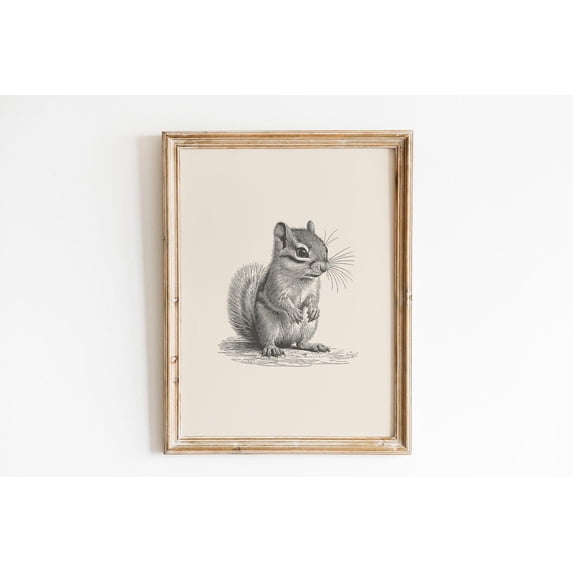 Vintage Chipmunk Drawing Animal Nursery Wall Decoration, Unframed Canvas 8x10in