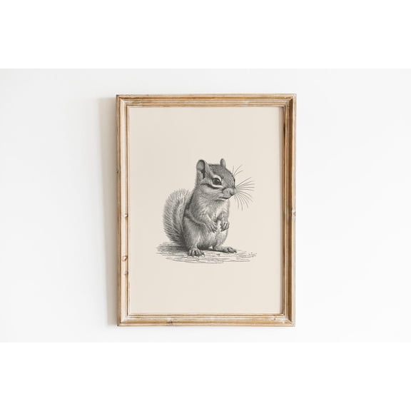 Vintage Chipmunk Drawing Animal Nursery Wall Decoration, Unframed Paper Poster 8x10in