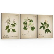 Vintage Christian Botanical Wall Art Decor Canvas Set Of 3, Bible Verse The Way Truth Life Pictures Wall Decor For Church Prayer Living Room Home, Rustic Framed Artwork For Walls