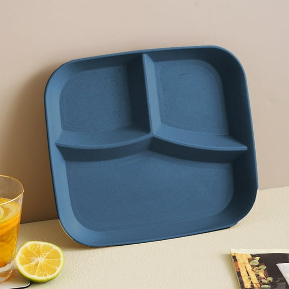 Vintage Christmas Decor New 10 Inch Control Divided Plates for Eating Straw Dinner for Kids Adults Picnic Reusable Plates, Blue