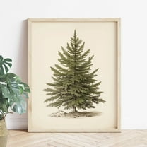 Vintage Christmas Wall Art Prints Christmas Decor Christmas Tree Pictures Unframed Pine Tree Botanical Winter Posters Xmas Canvas Painting for Bedroom Bathroom Living Room Office Decor