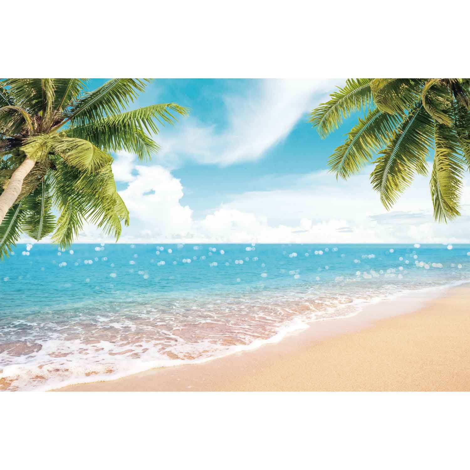 Blue Ocean Beach Backdrop Tropical Summer Photography Background Sunset ...