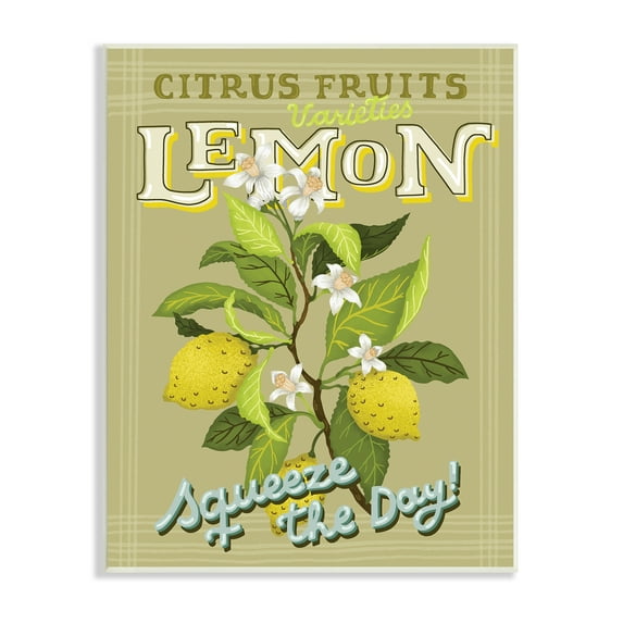 Vintage Citrus Fruits Lemon Squeeze the Day Phrase 13 in x 19 in Framed Painting Art Print, by Stupell Home Décor