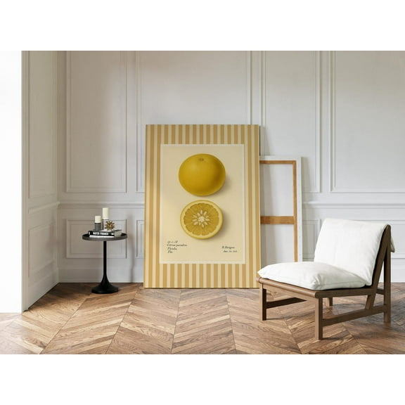 Vintage Citrus Paradisi Grapefruit Botanical Wall Art – Retro Florida Fruit Poster From 1818 Wall Art, Modern Wall Decor, 8x12 UNFRAMED