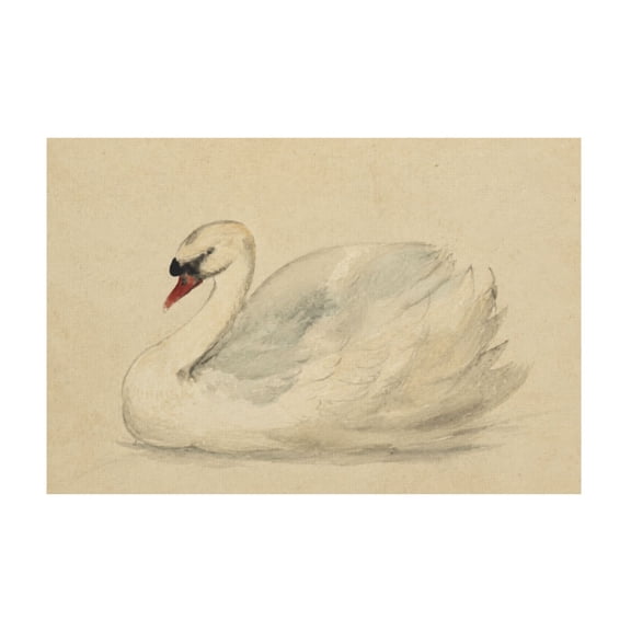 Vintage Classical Swan Watercolor Canvas Wall Art Farmhouse Rustic Decor for Bedroom Bathroom Office 12*18in