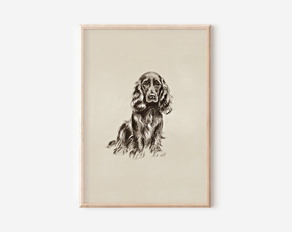 Vintage Cocker Spaniel Dog Sketch Downloadable Art Gallery Wall Print ...