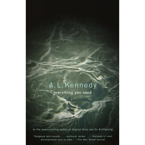 Vintage Contemporaries Everything You Need, (Paperback)