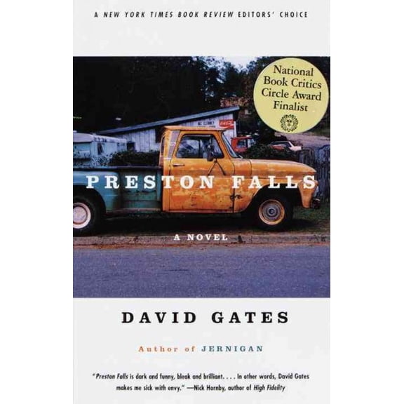 Vintage Contemporaries: Preston Falls : A Novel (Paperback)