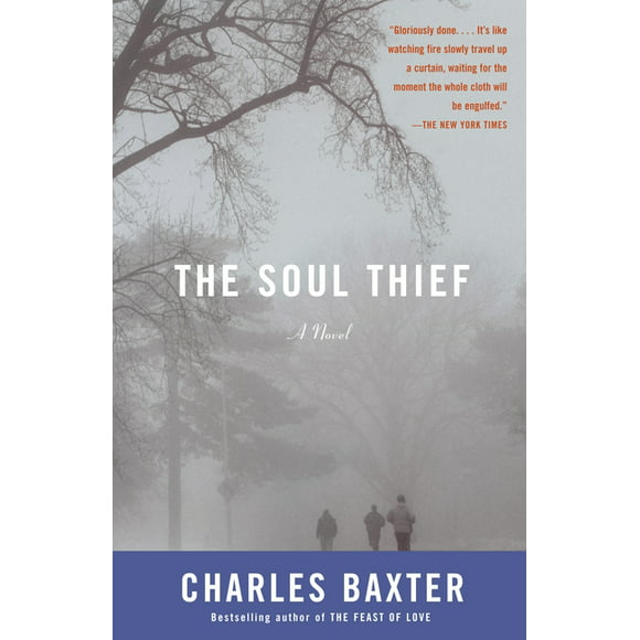 Vintage Contemporaries: The Soul Thief (Paperback)