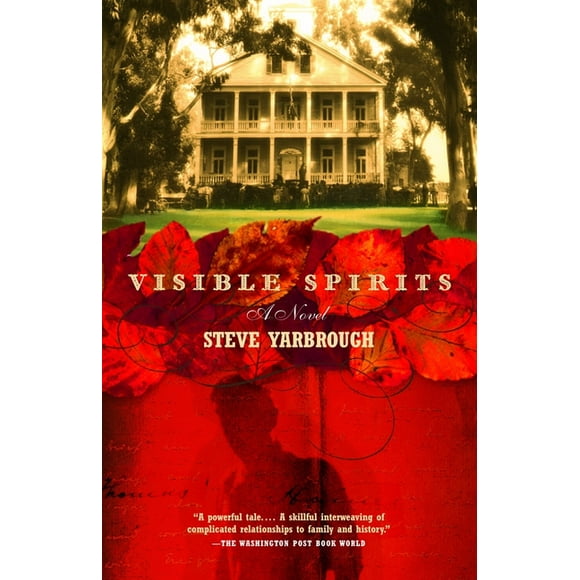 Vintage Contemporaries: Visible Spirits : A Novel (Paperback)