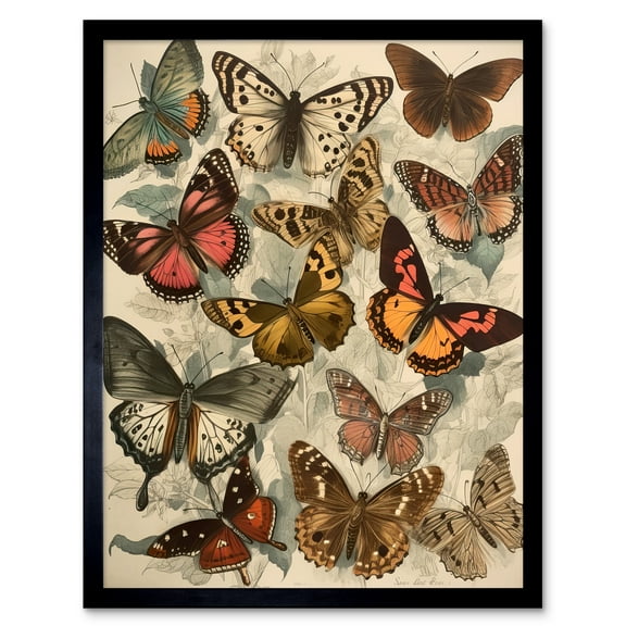 Vintage Cottagecore Aesthetic Butterflies Colour Pencil Insect Study Decor Art Print Framed Poster Wall Decor 12x16 inch