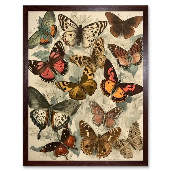 Vintage Cottagecore Aesthetic Butterflies Colour Pencil Insect Study Decor Art Print Framed Poster Wall Decor 12x16 inch