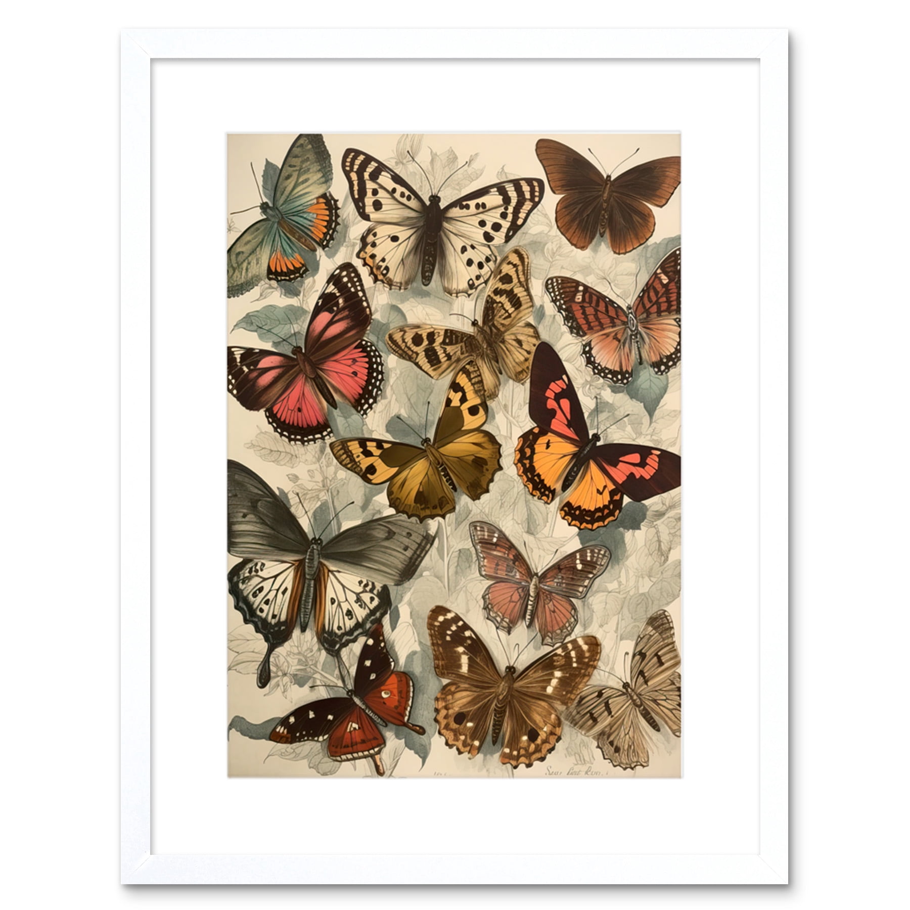 Vintage Cottagecore Aesthetic Butterflies Colour Pencil Insect Study