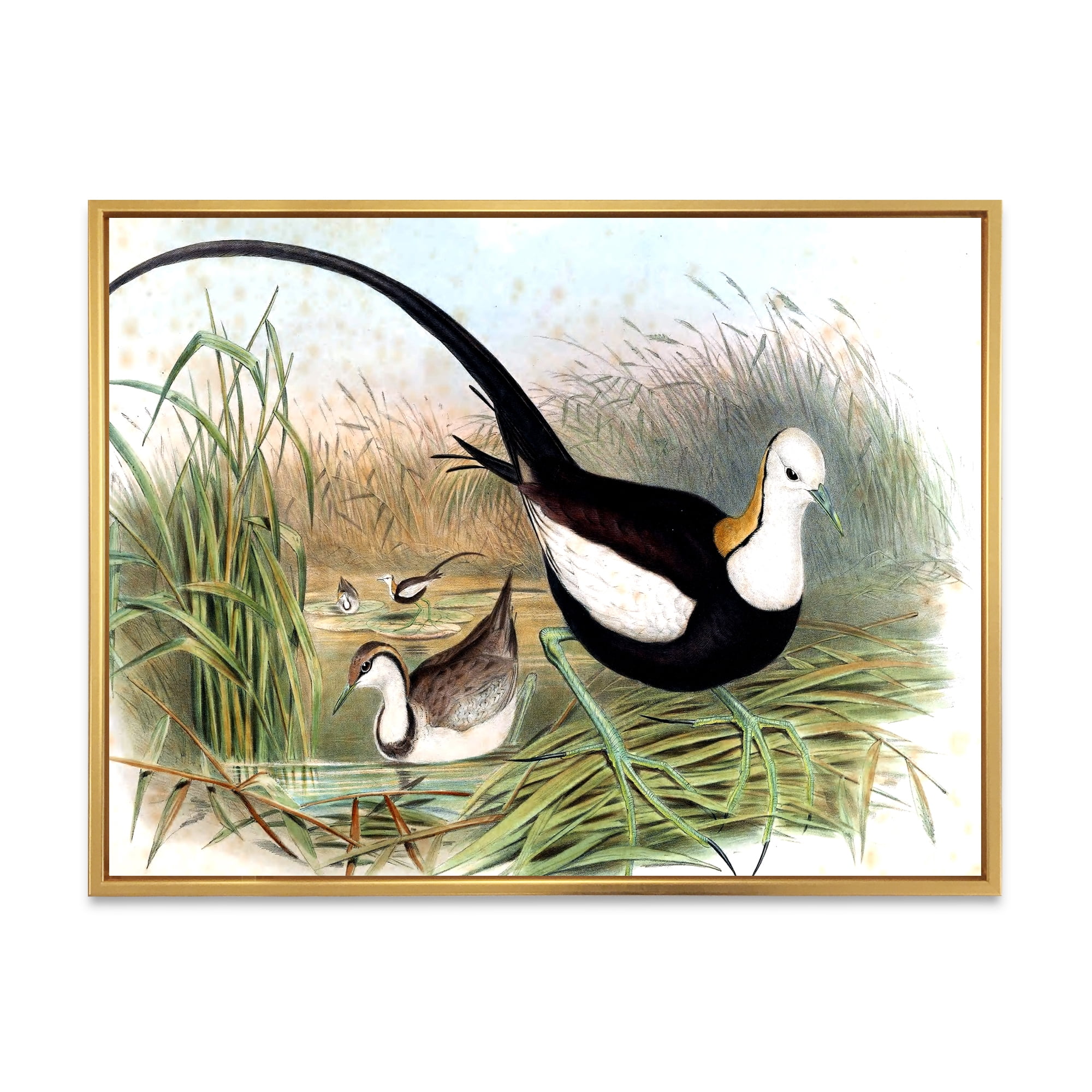 Vintage Countryside Birds In Lake 20 in x 12 in Framed Painting Canvas Art Print, by Designart