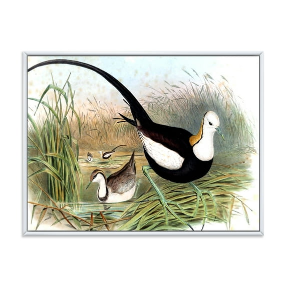 Vintage Countryside Birds In Lake 40" x 30" Framed Painting Canvas Art Print, by Designart