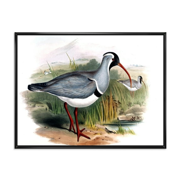 Vintage Countryside Birds In Wild 20 in x 12 in Framed Painting Canvas Art Print, by Designart