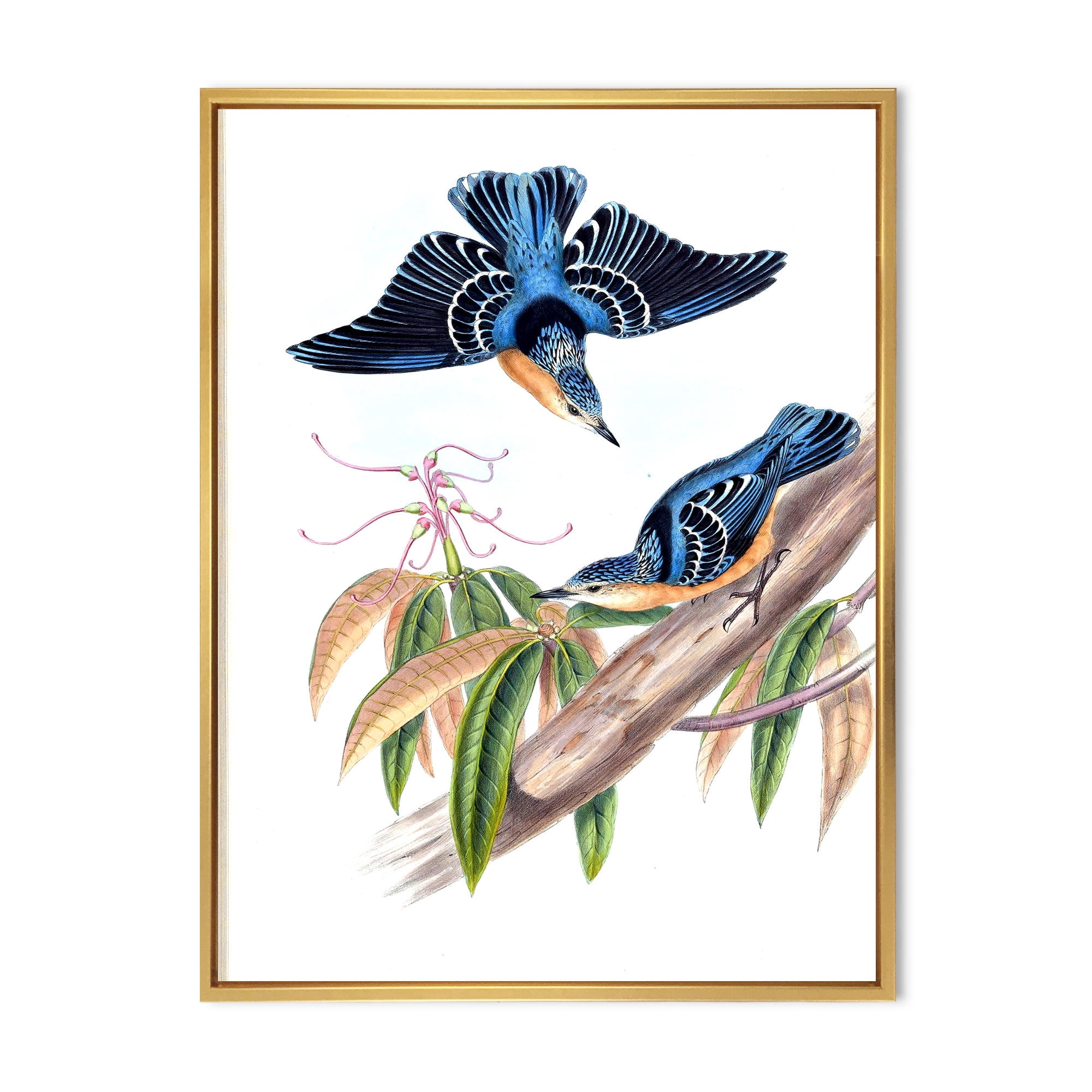 Vintage Countryside Birds On Branch V 16 in x 32 in Framed Painting Canvas Art Print, by Designart