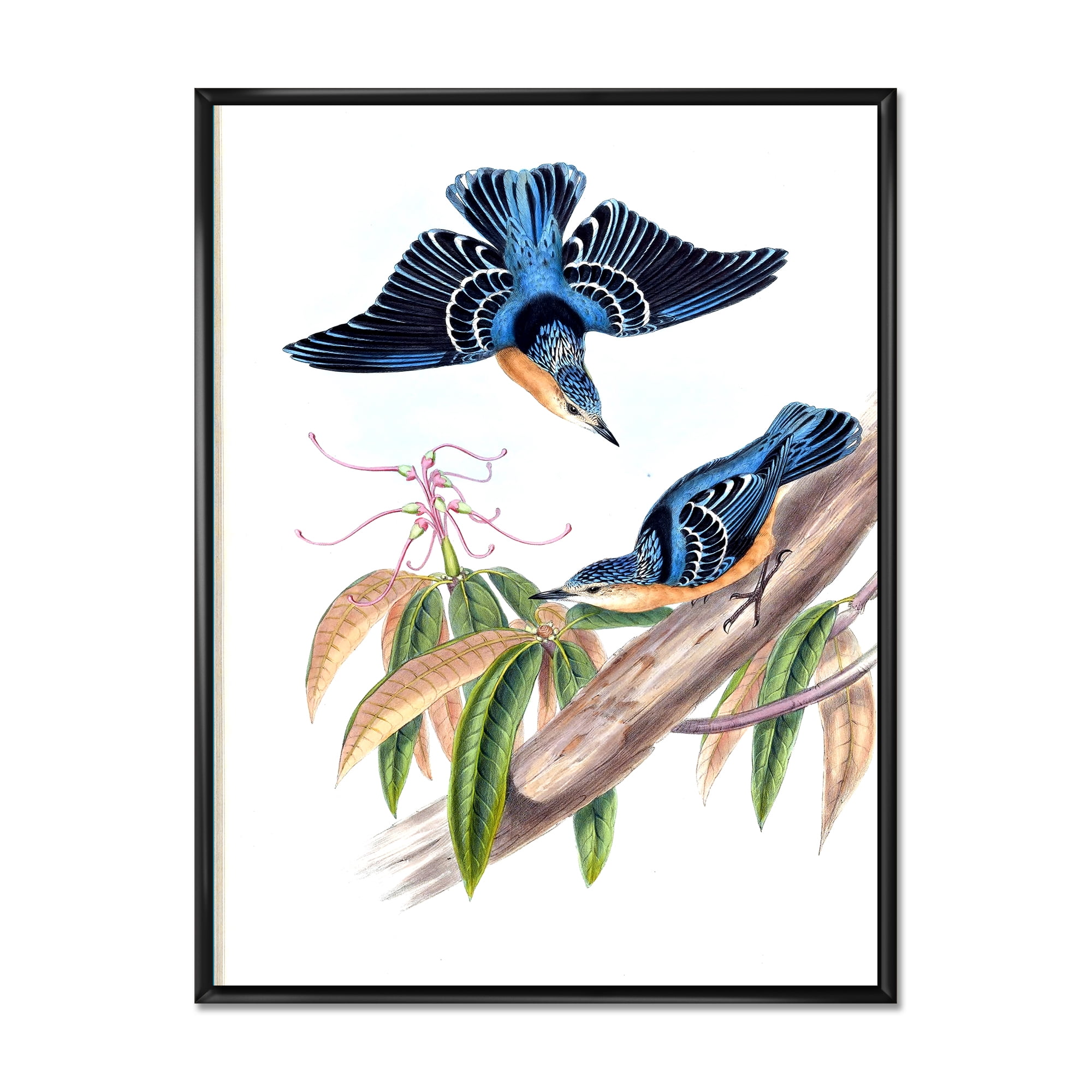 Vintage Countryside Birds On Branch V 30 in x 40 in Framed Painting Canvas Art Print, by Designart