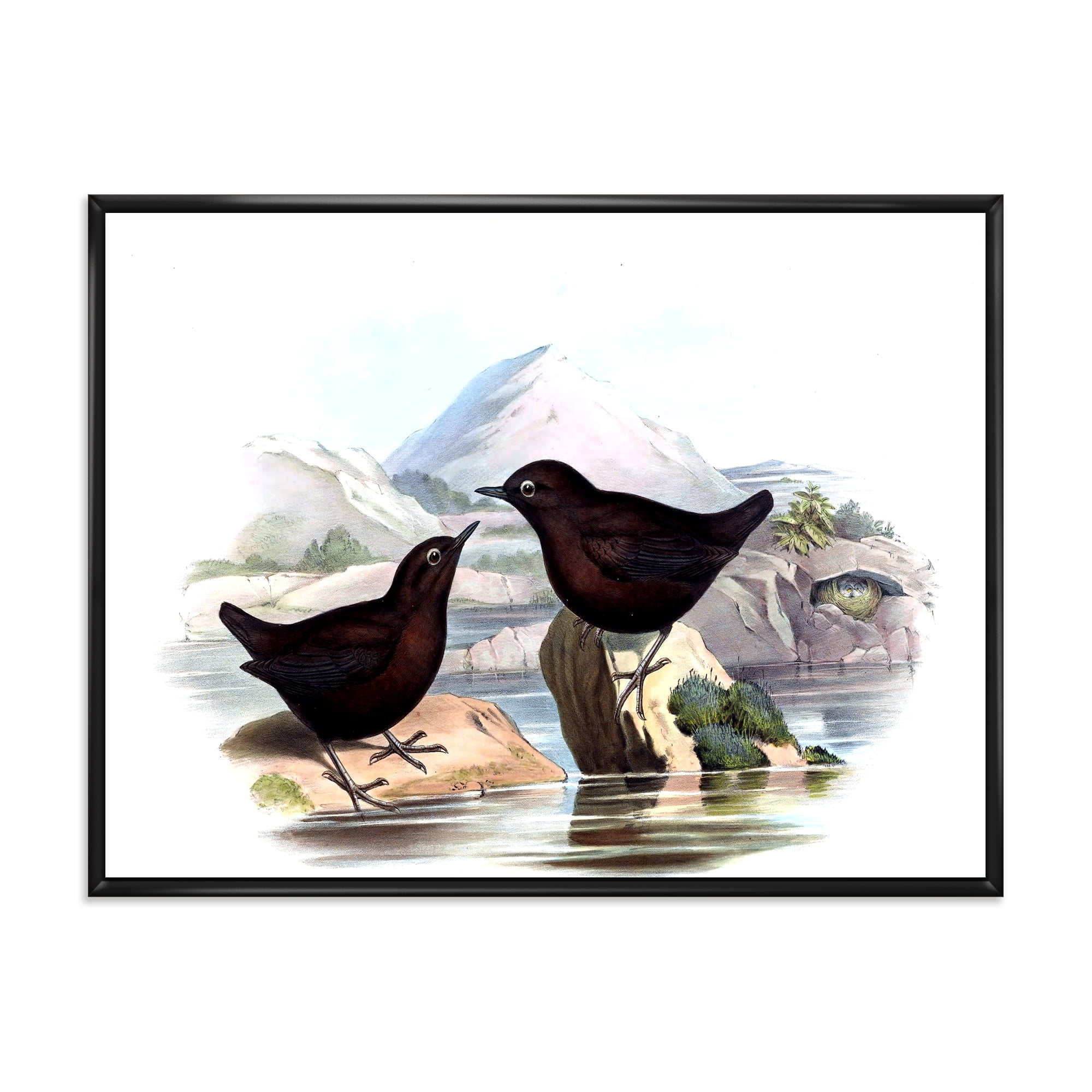Vintage Countryside Two Birds 40 in x 30 in Framed Painting Canvas Art Print, by Designart