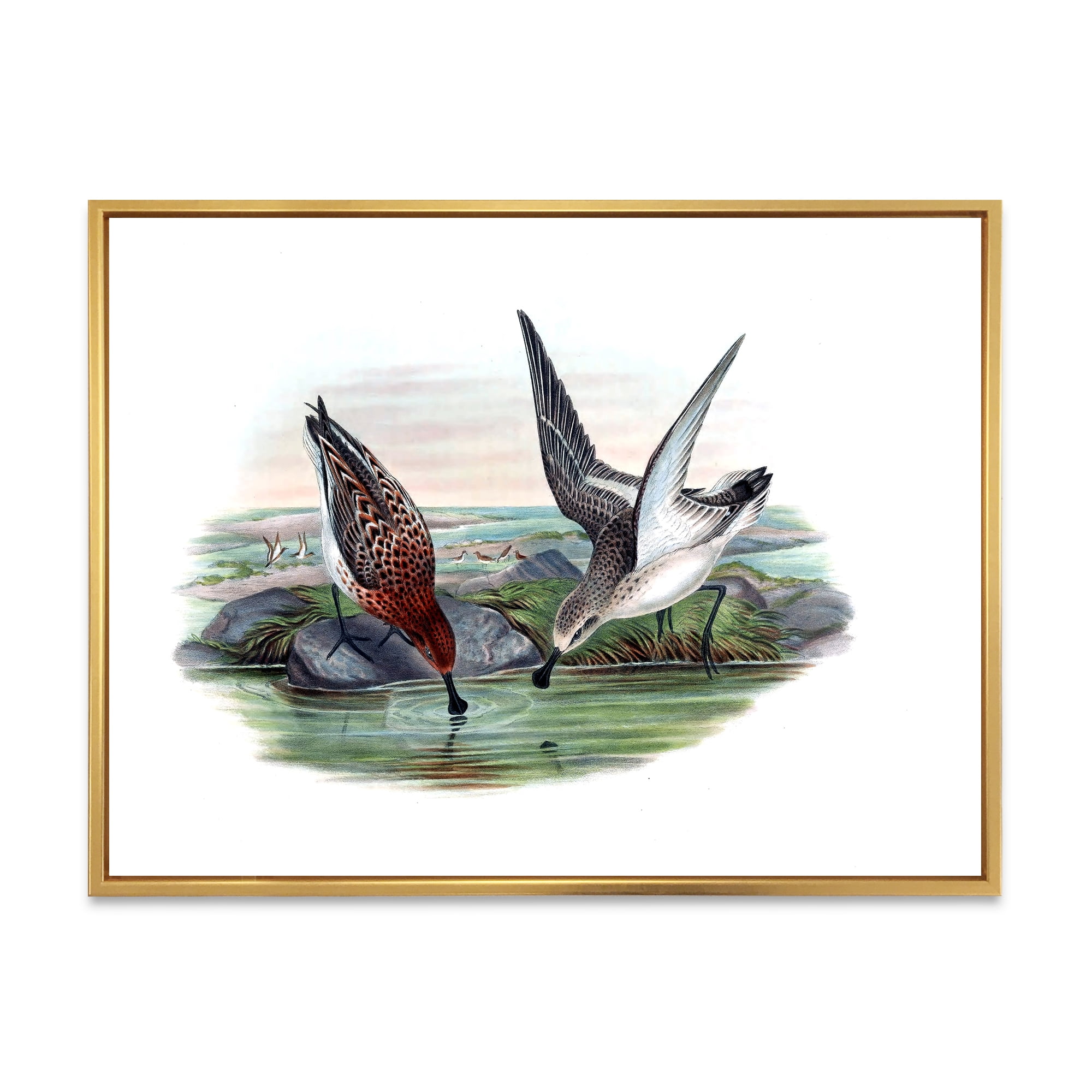 Vintage Countryside Two Birds In Lake 40 in x 30 in Framed Painting Canvas Art Print, by Designart