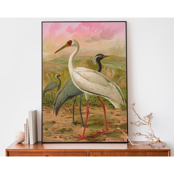 Vintage Crane Illustration Art Print, Johann Friedrich Naumann Print, Bird Boho Wall Art Wall Art, Modern Wall Decor, 12x18 UNFRAMED
