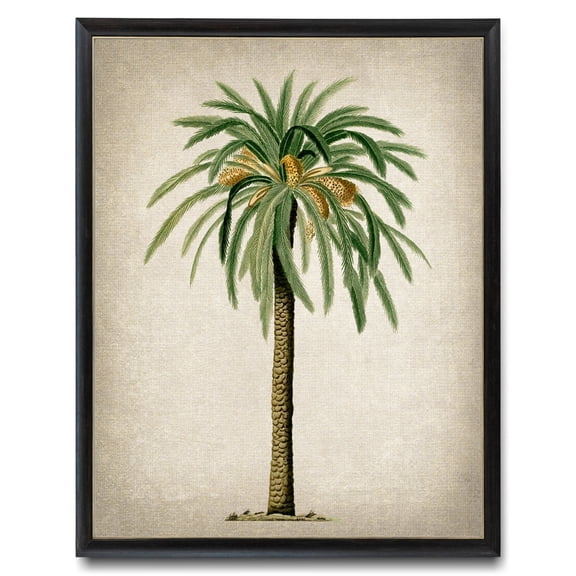 Vintage Date Palm Tree Print, Unframed Paper Poster 8x10in
