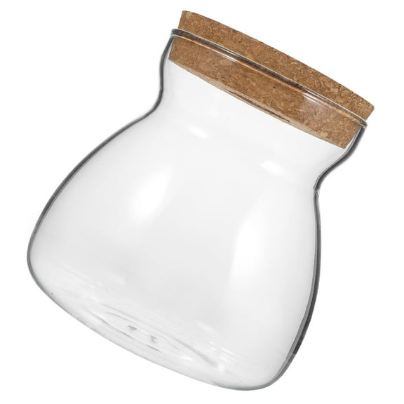 Vintage Decor Houseplant Pots Indoor Plant Glass Terrarium Container Terrarium Jar Micro Landscape Ecological Bottle Moss Wood Glass Office