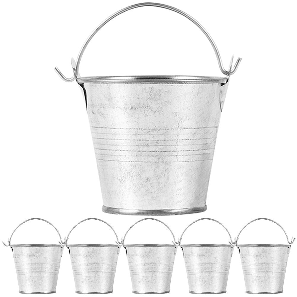 Vintage Decor Vase 6 Pcs Party Favors Bucket Mini Keg Flower Iron Child