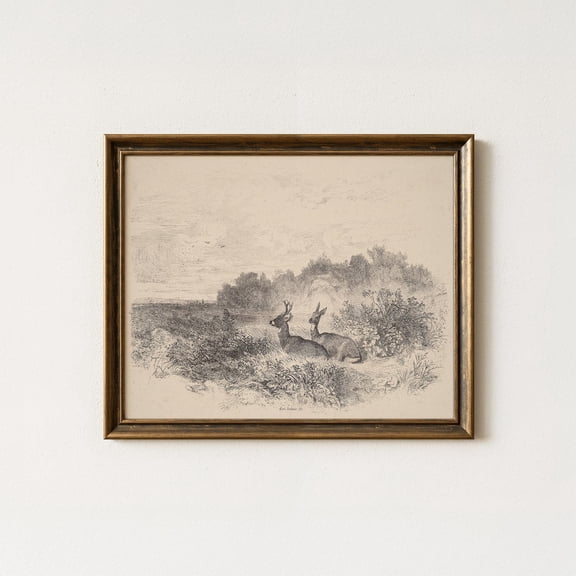 Vintage Deer Sketch Rustic Cottagecore Wall Art Muted Sepia Wildlife Decor Mailed Print