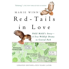 Vintage Departures Red-Tails in Love: PALE MALE'S STORY--A True Wildlife Drama in Central Park, (Paperback)