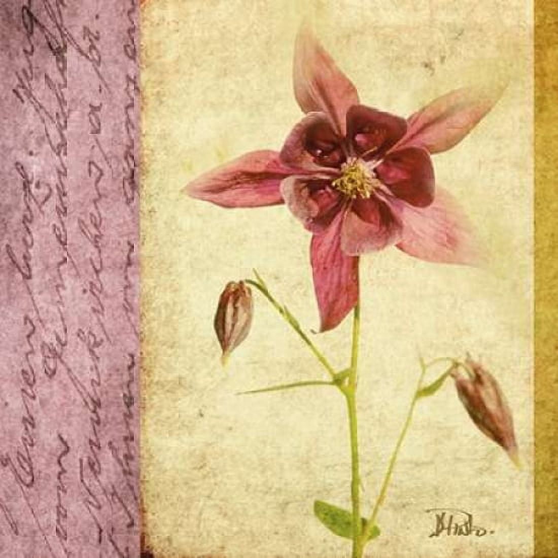 Vintage Diary Square I Canvas Art - Patricia Pinto (24 x 24)