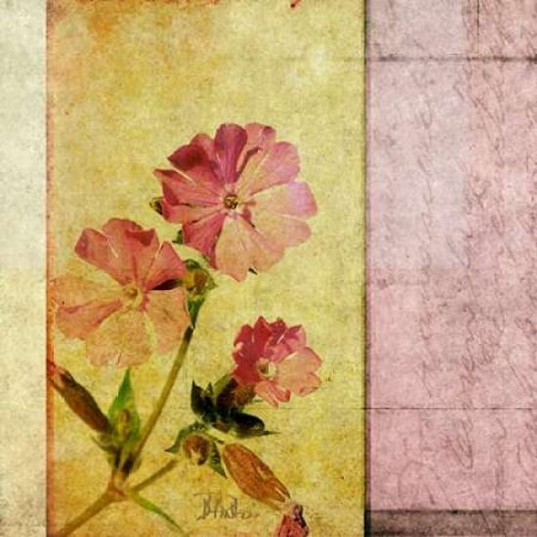 Vintage Diary Square II Canvas Art - Patricia Pinto (24 x 24)