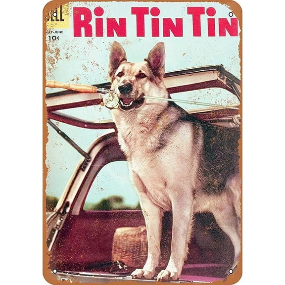 Vintage Dog Adventure Comic Metal Sign, 8 x 12 Inch Wall Decor