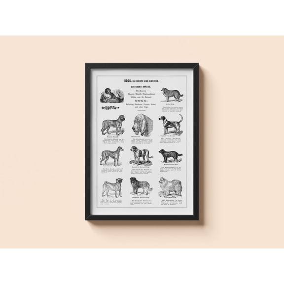 Vintage Dog Breeds Thomas E Hill Canine Wall Art Unframed Paper Print