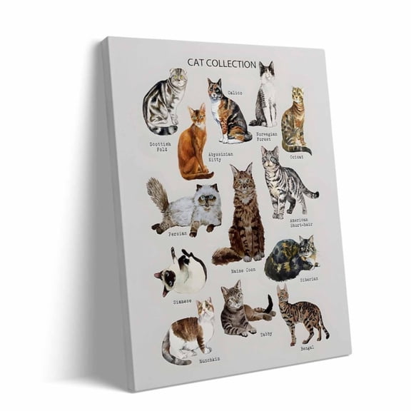 Vintage Dog Cat Breed Chart Canvas Art Cat Collection Wall Art Cat and Dog Illustrated Guide Educational Enlightenment Decor Prints for Pet Lover Decor
