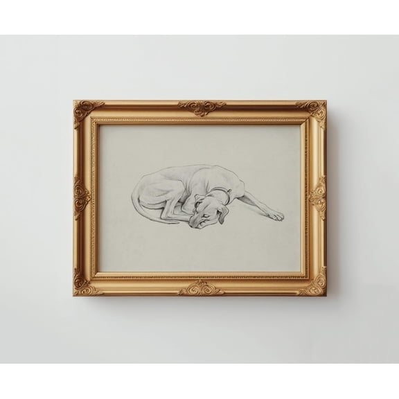 Vintage Dog Portrait Sketch, Neutral Nursery Wall Art, Printed Dog Lovers, Aesthetic Room Decor Poster Decor, Unframed Canvas Size 16x24