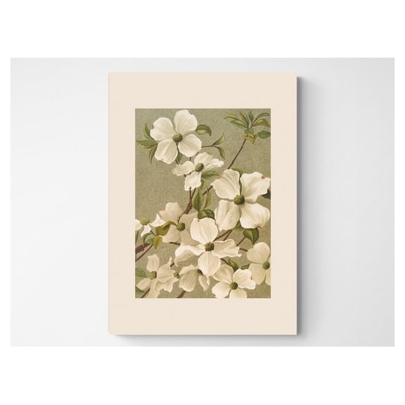 Vintage Dogwood Botanical Print: French Country Cottagecore ArtPrint File Poster, Poster Only