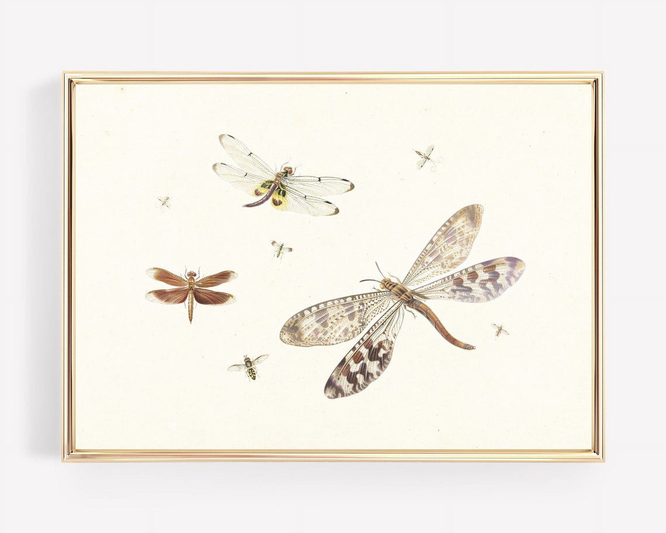 Vintage Dragonflies Art Print Neutral Farmhouse Wall Decor Vintage ...