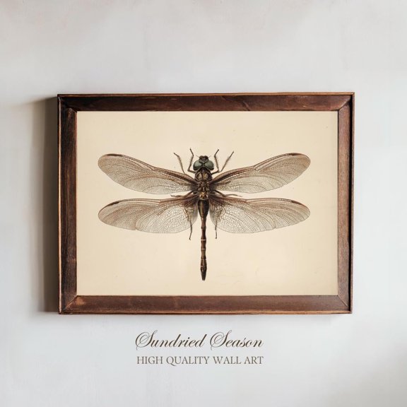 Vintage Dragonfly Insect Illustration Wall Art UNFRAMED PAPER POSTER, Home Decor