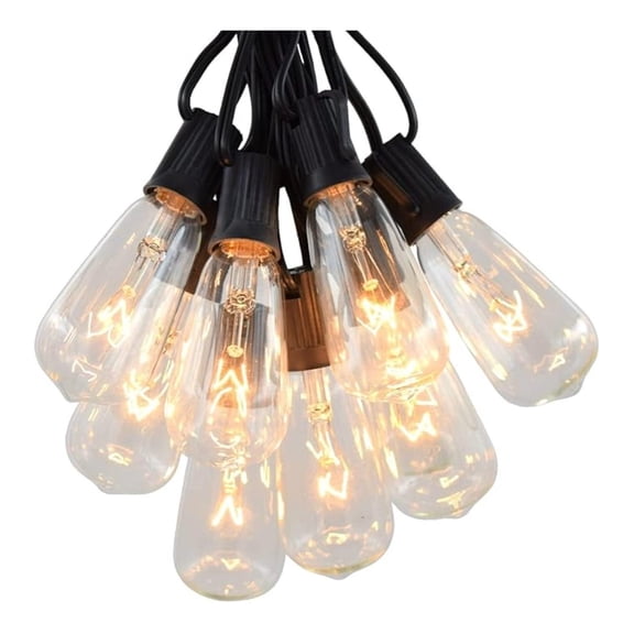 Vintage Edison Outdoor String Lights (ST40 Clear - Black Wire, 25 ft)