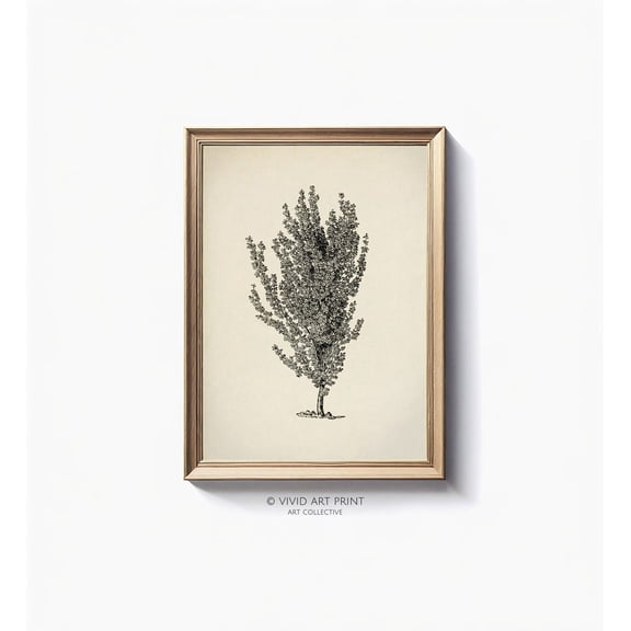 Vintage Elm Botanical Antique Stylish Decorative Design Statement Accent Interior Display Portrait Decor