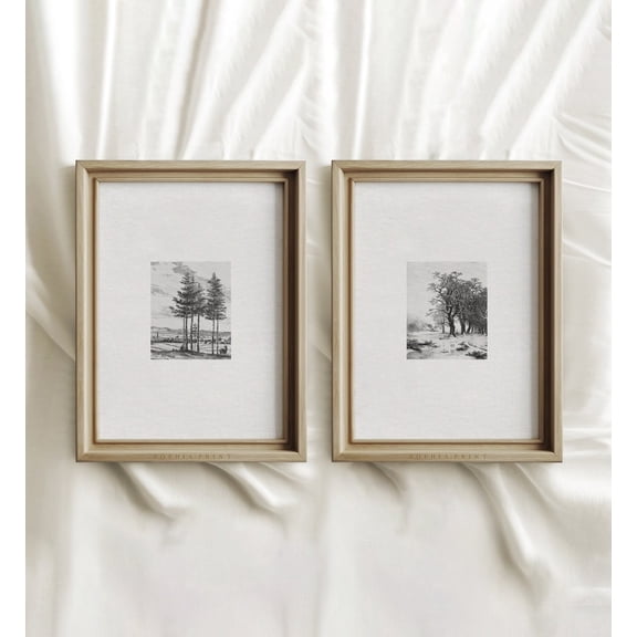 Vintage Etching Print Set, Tree Sketch Art, Forest Drawing, MAILED ART PRINTS 9, Set 2, Poster Only